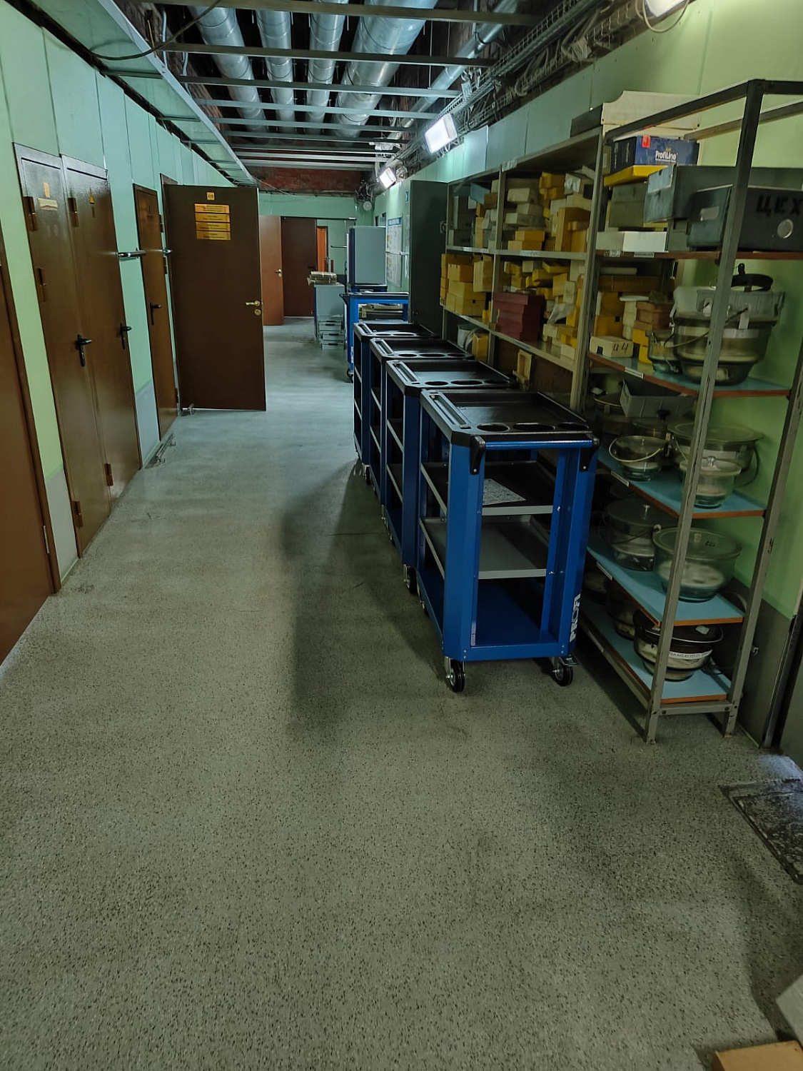 ER-00038295 Тележка PROFI №2